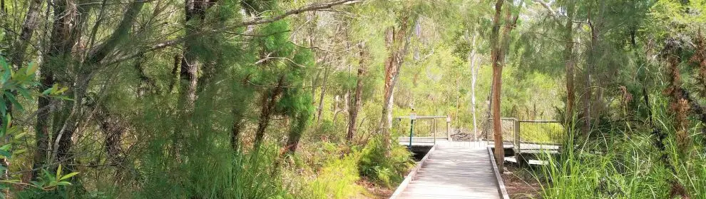 Cooloola Recreation Area