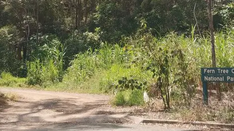 Ferntree Creek National Park