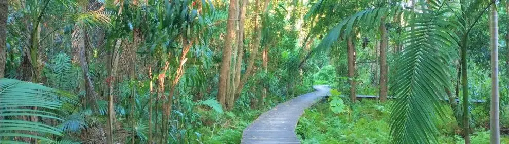 Yaroomba Park