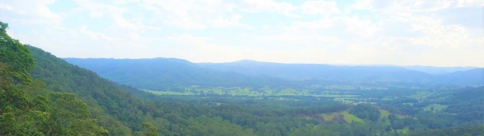 Mapleton Falls Lookout