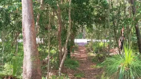 Maroochy River Conservation Park