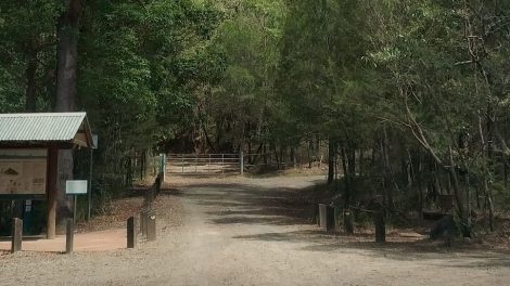 Mount Beerwah