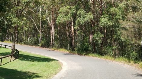 Mount Cooroora