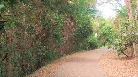 Point Cartwright Coastal Walkway