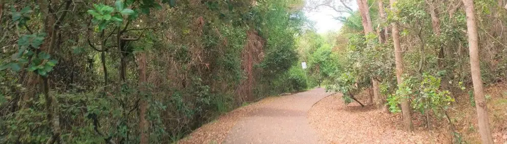 Point Cartwright Coastal Walkway