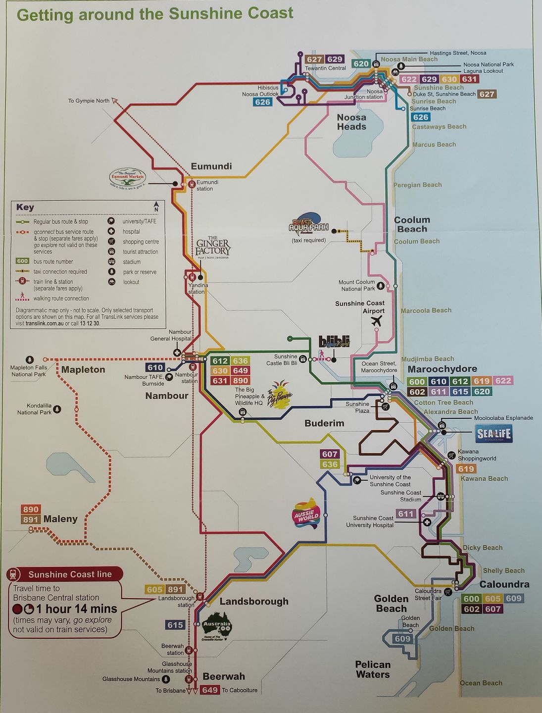 sunshine coast bus travel