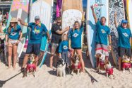 Vetshopaustralia Surfing Dog Championships