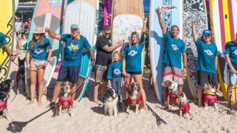 Vetshopaustralia Surfing Dog Championships
