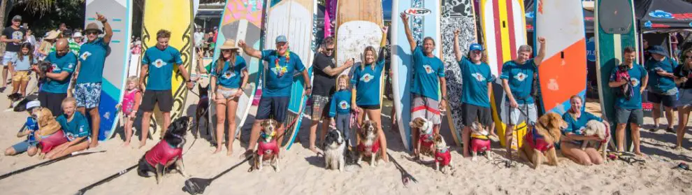 Vetshopaustralia Surfing Dog Championships