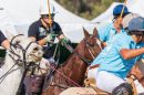 Polo By The Sea Sunshine Coast 6 1
