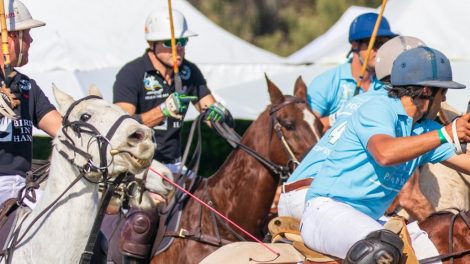 Polo By The Sea Sunshine Coast 6 1