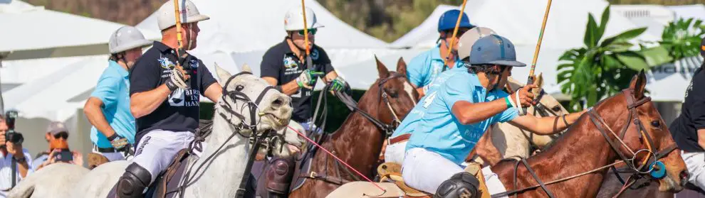 Polo By The Sea Sunshine Coast 6 1